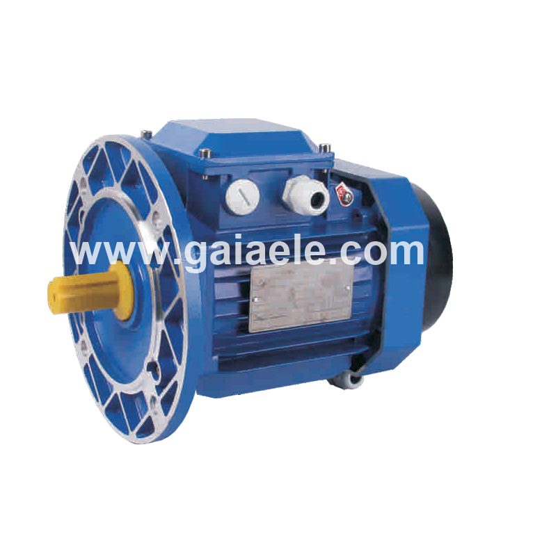 Y2 THREE PHASE ALUMINUM MOTOR