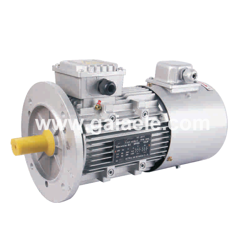 YVF2 ADJUSTABLE SPEED MOTOR