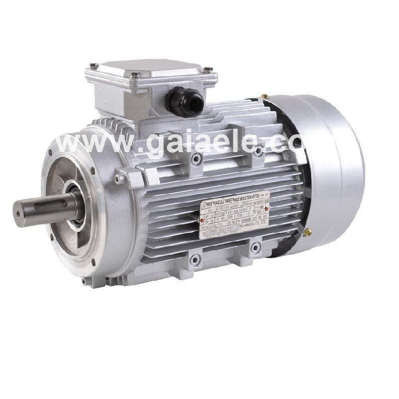 YG INDUCTION MOTOR